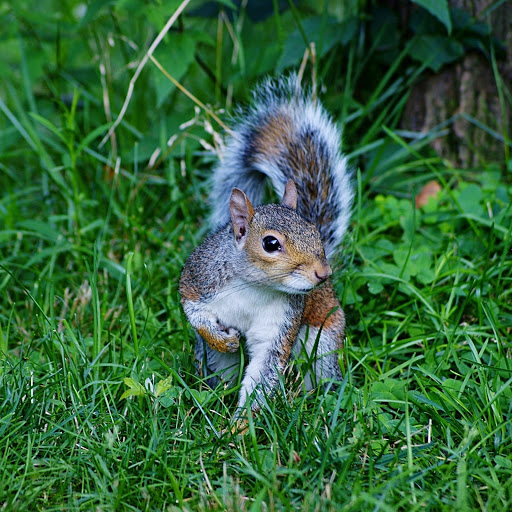 Hd-132079-ascw132079