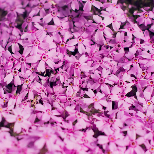 Hd-138564-ascw138564