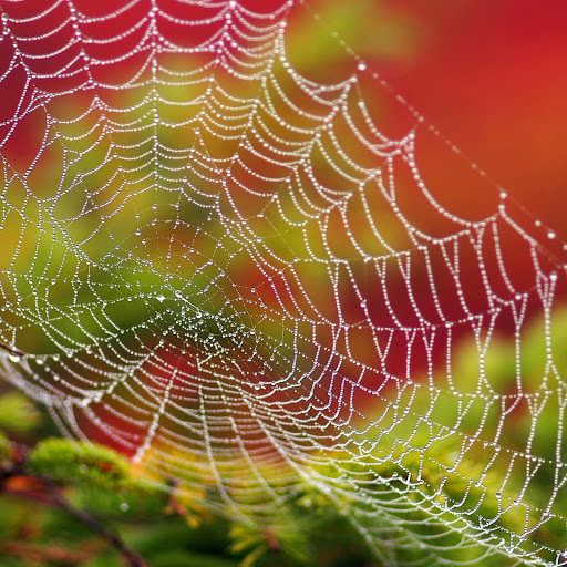 Hd-165367-ascw165367