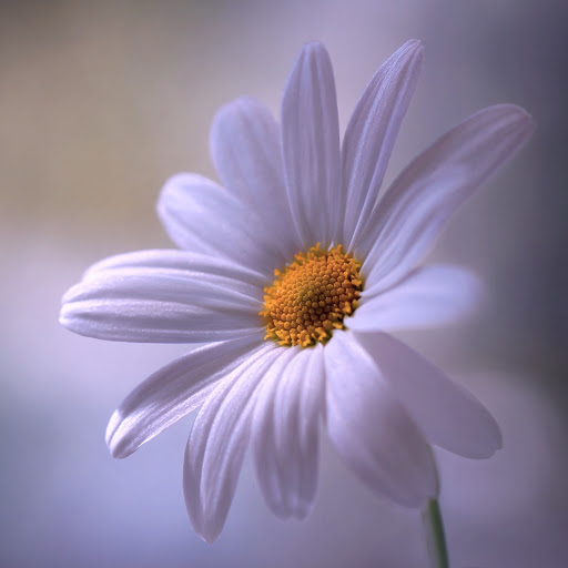 Hd-164394-ascw164394