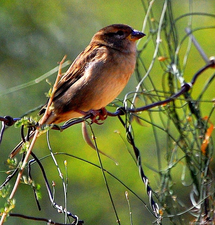 [DSC_1723%255B8%255D.jpg]