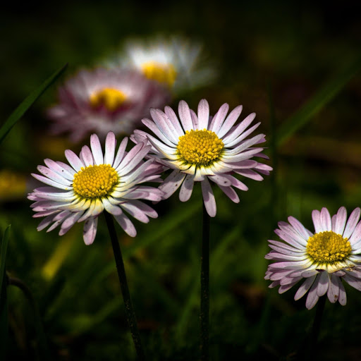 Hd-183363-ascw183363