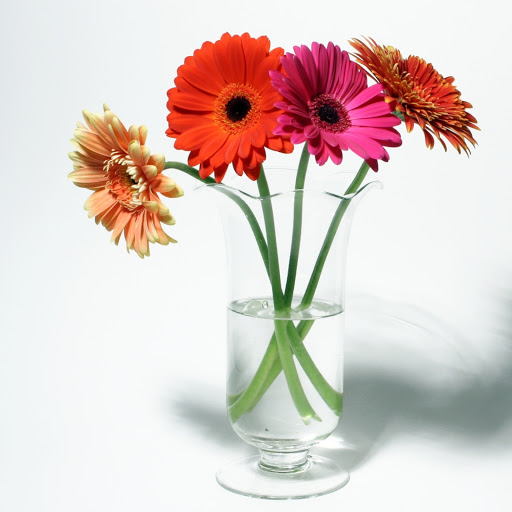 Hd-157498-ascw157498