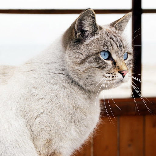 Hd-178079-ascw178079