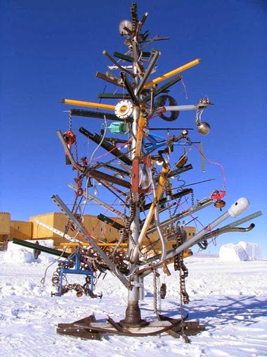 south pole tree