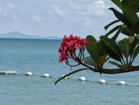 Foto cu Sony: Mare la Pattaya