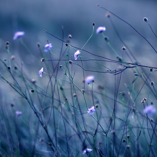 Hd-151768-ascw151768