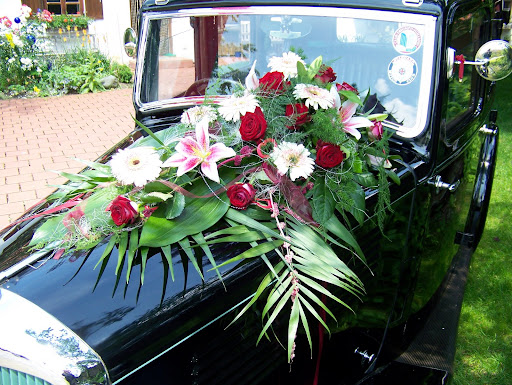 Picasa Web Albums - Oldistar - Standard Ten .