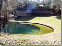 Suwannee River Rendezvous RV Park 010 Suwannee River Rendezvous RV Park 010
