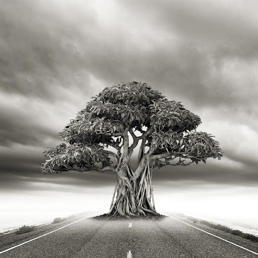 Hd-131010-ascw131010