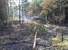 Pożar lasu na Krępie (new)