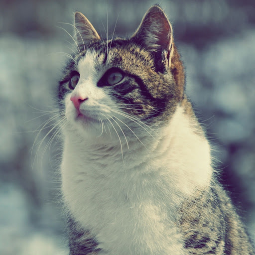 Hd-143774-ascw143774