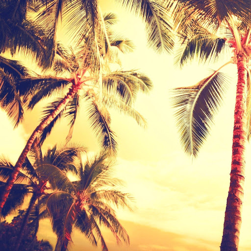 Hd-143256-ascw143256