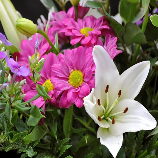 Hd-168835-ascw168835