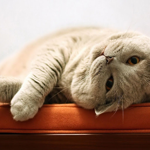 Hd-140232-ascw140232