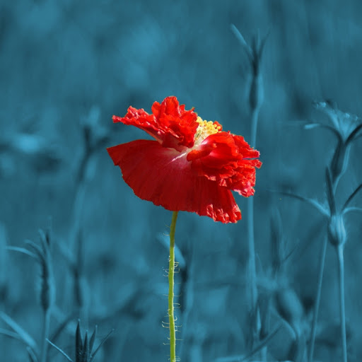 Hd-180933-ascw180933