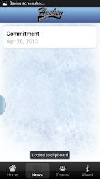 Hockey Essentials poster 2