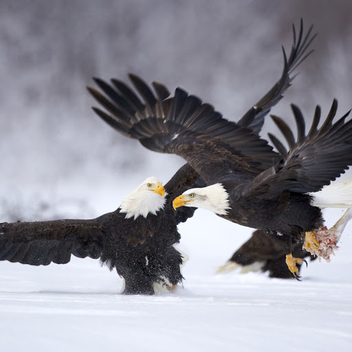 Hd-158159-ascw158159