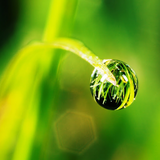 Hd-177434-ascw177434