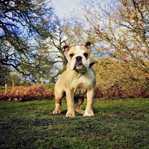 Hd-185142-ascw185142