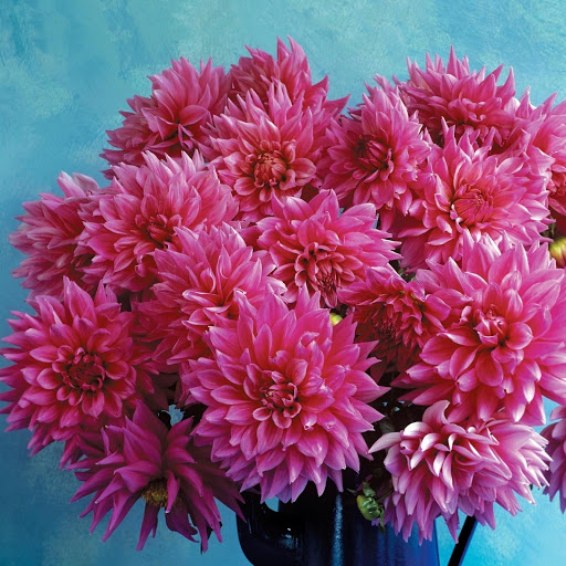 Hd-148742-ascw148742