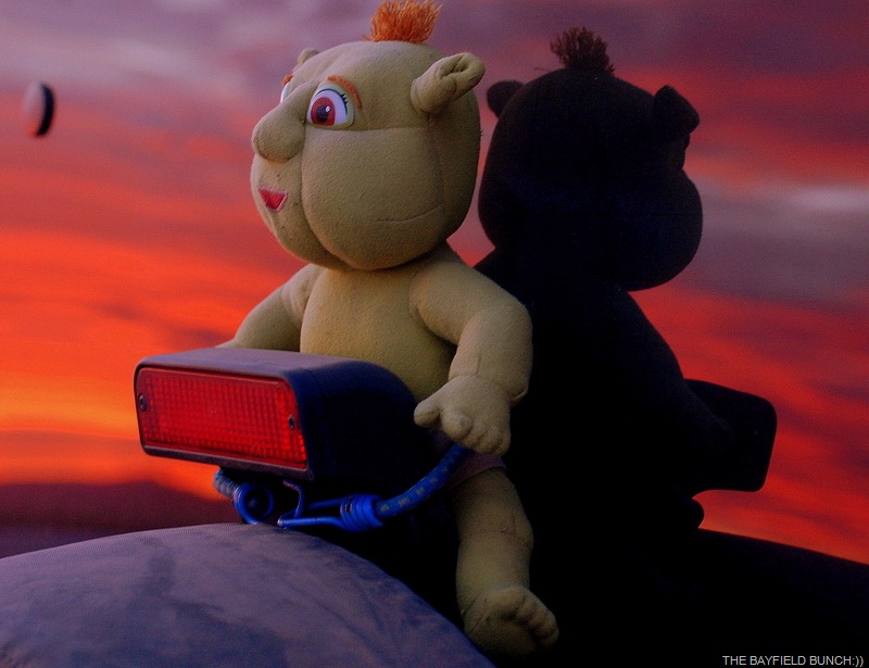 [DSC_5487%255B4%255D.jpg]