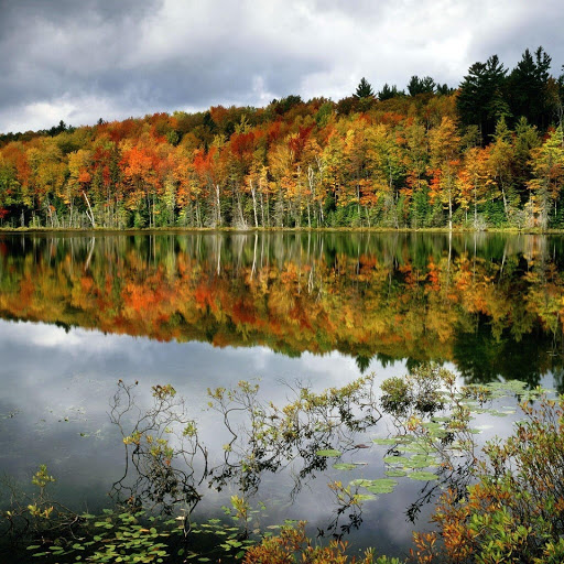 Hd-133697-ascw133697