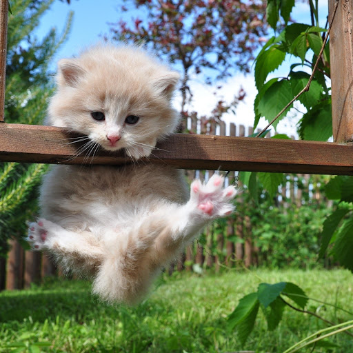 Hd-181787-ascw181787