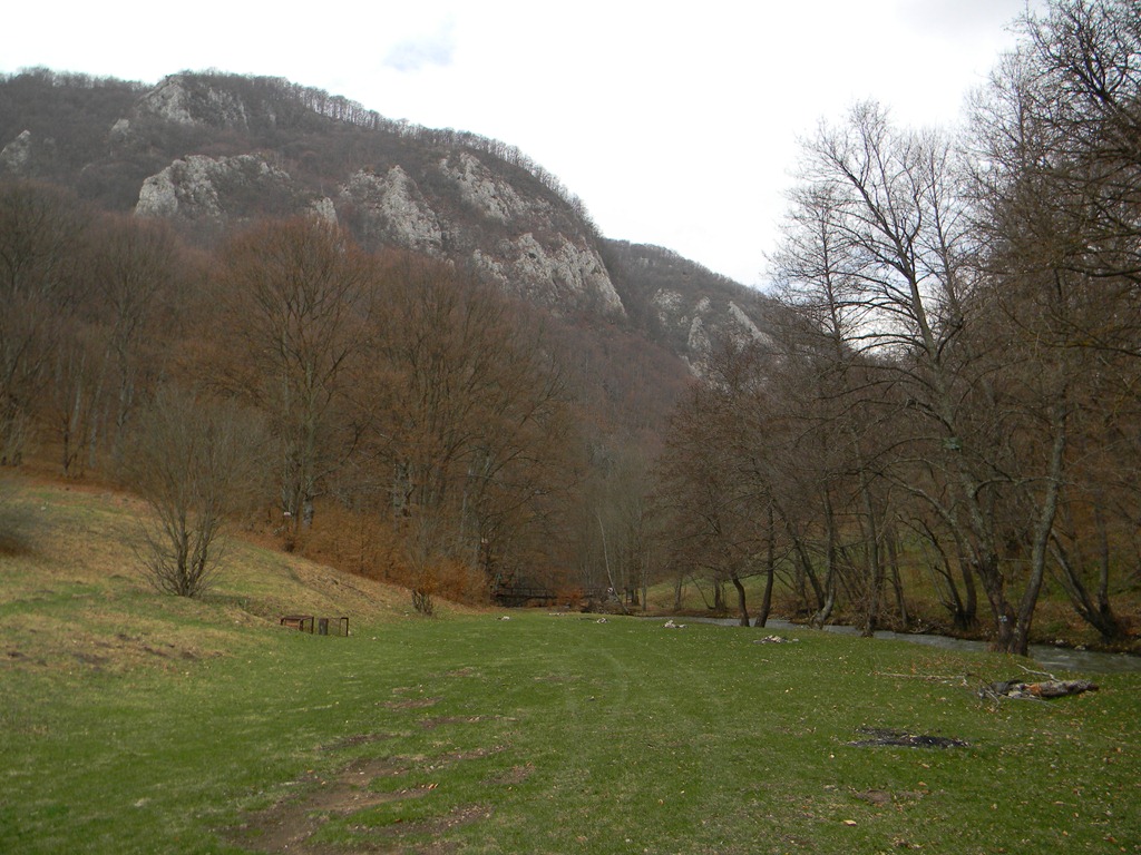 [DSCN83263.jpg]