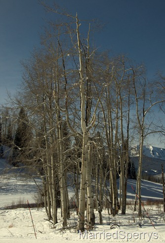 CrestedButte_01_09_2012_169.NEF CrestedButte_01_09_2012_169.NEF