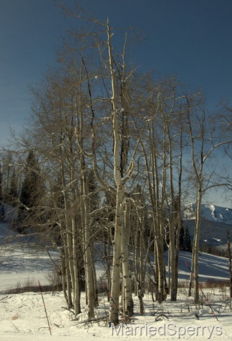 CrestedButte_01_09_2012_169.NEF