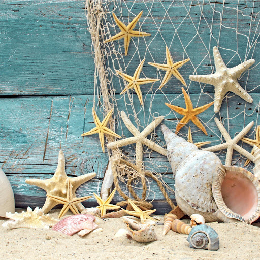 Hd-150769-ascw150769