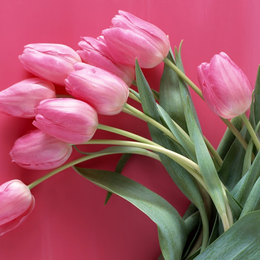 Hd-149268-ascw149268