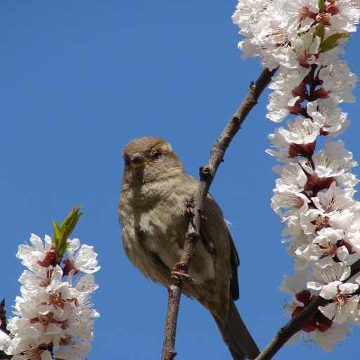 Hd-170469-ascw170469