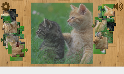 Cats and Kittens Puzzles poster 6