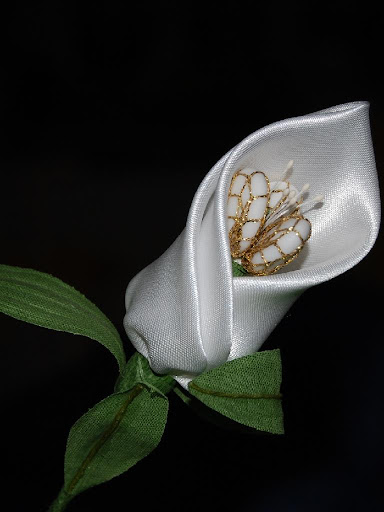 Ascw26565