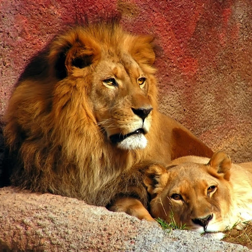 Hd-154257-ascw154257