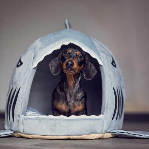 Hd-190598-ascw190598