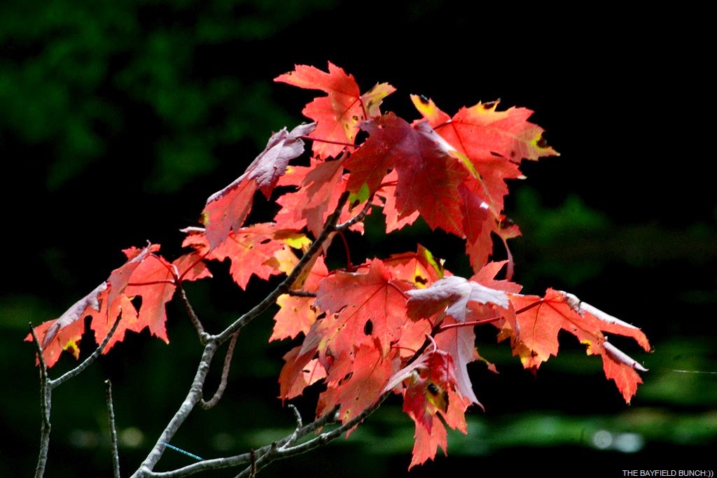 [DSC_0044%255B4%255D.jpg]