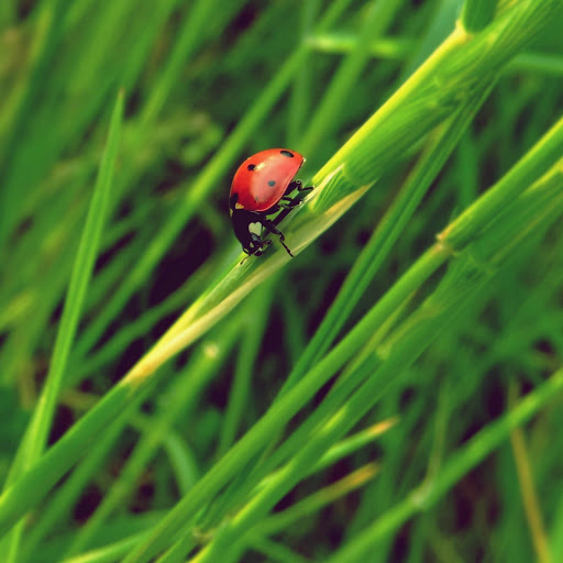 Hd-153498-ascw153498