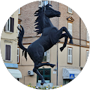 Image Google de Didier Didier