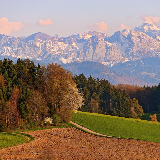 Hd-131385-ascw131385