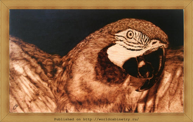 phpThumb generated thumbnailjpg%252520%2525286%252529 Пирография   выжигание по дереву.Работы Джули Бендер