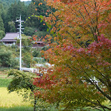 大台ケ原,9月(PK3_0026,F2.8,35mm,K3)2014yaotomi_.jpg