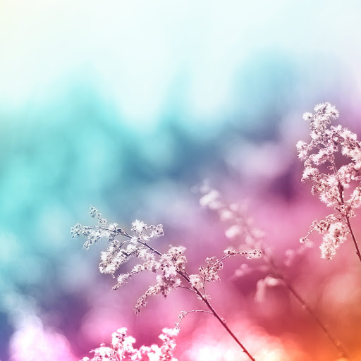 Hd-153810-ascw153810