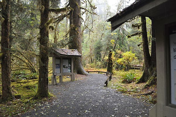 DSC_4744.JPG DSC_4744.JPG