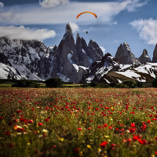 Hd-184406-ascw184406