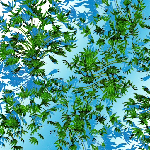 Hd-152508-ascw152508