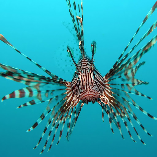 Hd-143781-ascw143781