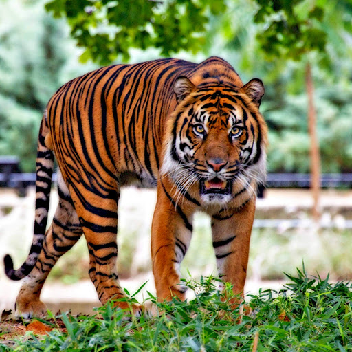 Hd-183633-ascw183633